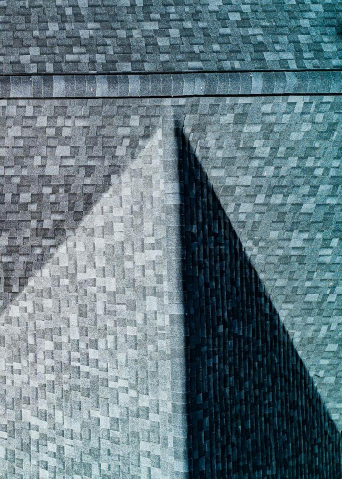 Detailshot shingles22