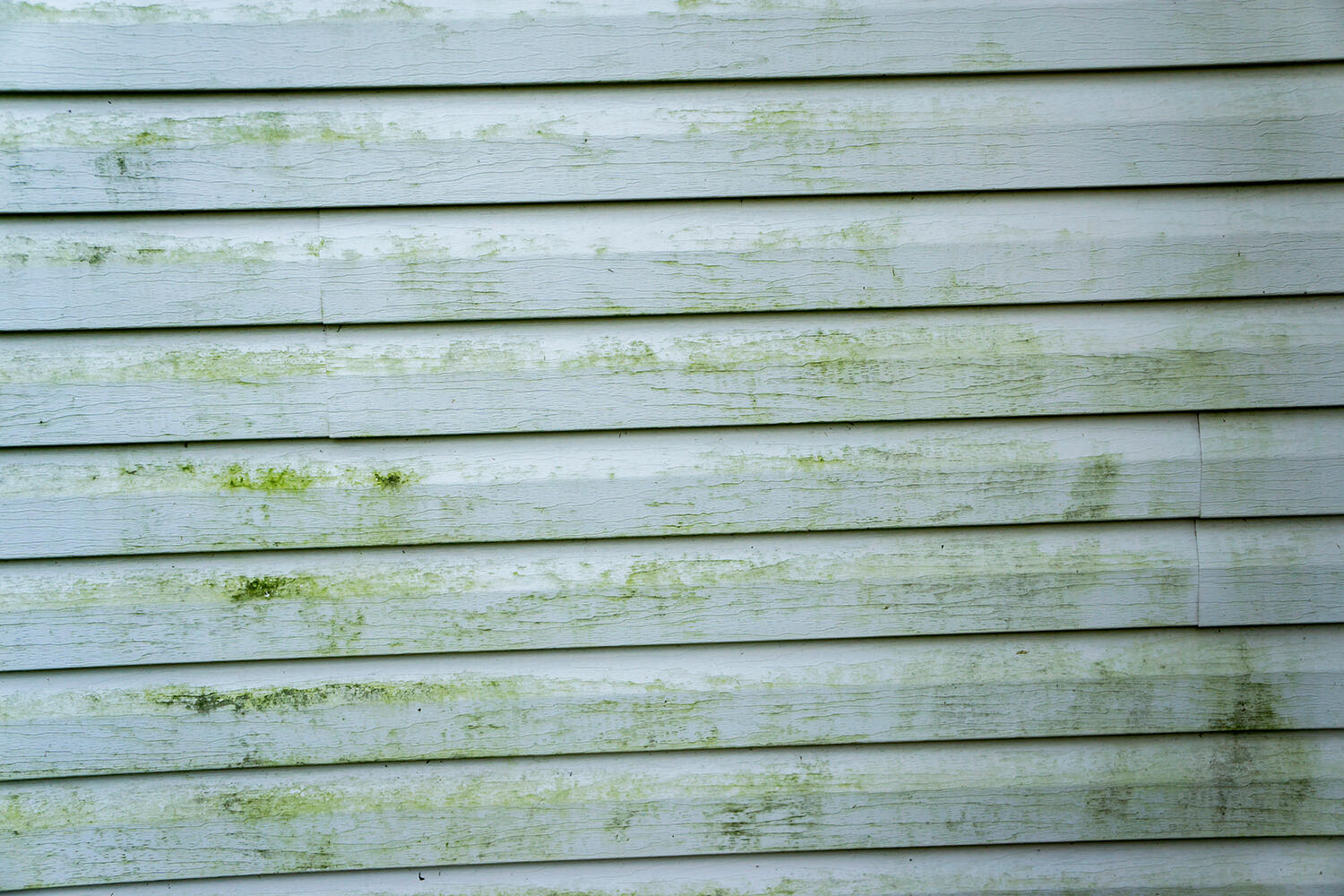 Molded Vinyl Siding