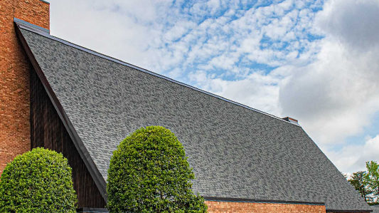 Shingles